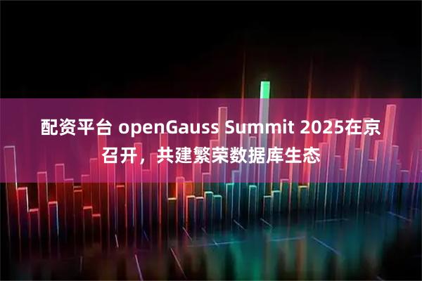 配资平台 openGauss Summit 2025在京召开，共建繁荣数据库生态