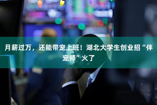 月薪过万，还能带宠上班！湖北大学生创业招“伴宠师”火了